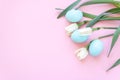 Easter eggs and spring flowers narcissi on pink background