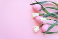 Easter eggs and spring flowers narcissi on pink background