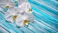 Beautiful white orchid flowers on blue wooden background Royalty Free Stock Photo