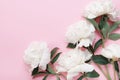 Beautiful white peony flowers bouquet on pink pastel table top view and flat lay style. Royalty Free Stock Photo