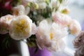 Beautiful White peony flowers in a vase on a window Royalty Free Stock Photo