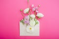 Beautiful white and purple flowers, buds and paper envelope on pink background. Flat lay, top view. Flowers background. Royalty Free Stock Photo