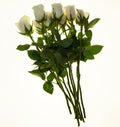 Beautiful white roses in the bouquet, background for wedding cards, greeting card for birthday. Royalty Free Stock Photo