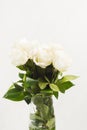Beautiful white roses in bouquet in glass vase.Present for Valentine`s Day, wedding or arrangement holiday