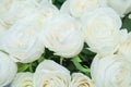 The beautiful white roses bouquet.