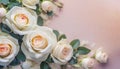 Beautiful white roses flower border on soft background for valentine or wedding card in pastel tone ,copy space for text Royalty Free Stock Photo