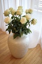 Beautiful white roses in a large white vase on the floor in the room Royalty Free Stock Photo