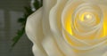Beautiful white roses made from polyester fabric with lamps inside, detail view Royalty Free Stock Photo