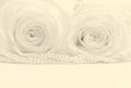 Beautiful white roses toned in sepia as wedding background. Soft Royalty Free Stock Photo