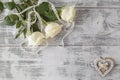 Beautiful white roses on white silk as wedding background Royalty Free Stock Photo
