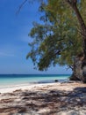 Beautiful white sand beach and blue ocean at lonely island of Selayar, Indonesia