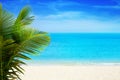 Beautiful white sand beach, blue sea water, clouds background, green palm tree leaves close up, vacation on exotic tropical island Royalty Free Stock Photo