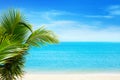 Beautiful white sand beach, blue sea water, clouds background, green palm tree leaves close up, vacation on exotic tropical island Royalty Free Stock Photo