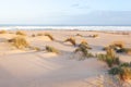 Beautiful white sand dune beach by ocean. Royalty Free Stock Photo