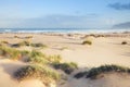 Beautiful white sand dune beach by ocean. Royalty Free Stock Photo