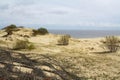 Beautiful white sand dune and tree over Baltic sea in the summer, landscape Royalty Free Stock Photo