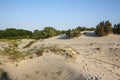 Beautiful white sand dune and tree over Baltic sea in the summer, landscape Royalty Free Stock Photo