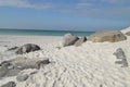 White sand dunes in the Florida Panhandle Royalty Free Stock Photo