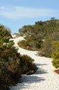 White sand dunes in the Panhandle of Florida Royalty Free Stock Photo