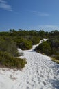 White sand dunes in the Panhandle of Florida Royalty Free Stock Photo