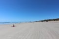 Beautiful white sandy beach with clear blue sky