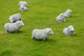 Beautiful white sheep sculptures in green lawn Royalty Free Stock Photo