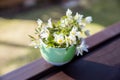 bouquet,bunch of white spring flowers in vase.white spring flower ,snowdrop, anemone, macro close-up on blurred