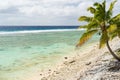A beautiful white stone beach on the tropical island of Rarotonga