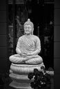 Beautiful white stone Buddha statue in close-up on a dark background Royalty Free Stock Photo