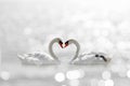 Beautiful White swan in heart shape on white lake bokeh