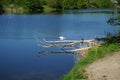 Beautiful white swan, mallard ducks, grey heron and gulls at Wuhlesee lake in May. Berlin, Germany Royalty Free Stock Photo