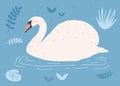 Beautiful white swan swimming in water of pond or lake among plants. Cute elegant cartoon wild bird, game fowl or