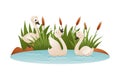 Beautiful white swans swimming in the pond. Ugly duckling fairy tale cartoon vector illustration