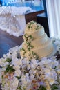 Beautiful white three teired cake with elegent at wedding reception