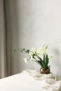 Beautiful white tulips and daffodils on wooden table against rustic wall. Happy Mothers day. Stylish simple spring bouquet in