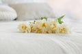 Beautiful white tulips lie on a white bed Royalty Free Stock Photo