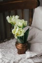 Beautiful white tulips in vintage vase on old wooden chair with linen cloth composition. Spring countryside still life. Spring Royalty Free Stock Photo
