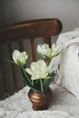 Beautiful white tulips in vintage vase on old wooden chair with linen cloth composition. Spring countryside still life. Spring Royalty Free Stock Photo