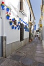 Beautiful White Walls Decorated with Colorful Flowers in Cordoba Royalty Free Stock Photo