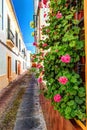 Beautiful White Walls Decorated with Colorful Flowers Royalty Free Stock Photo