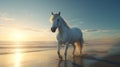 a beautiful white wild horse running on beach Royalty Free Stock Photo