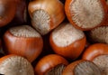 Beautiful whole hazelnut close-up. nut background