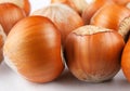 Beautiful whole hazelnut close-up. Hazelnut on a white background