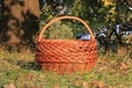 beautiful wicker basket in meadow