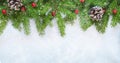 Beautiful Wide Angle Christmas Background with fresh fir