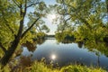 Beautiful wide-angle summer sunny landscape of russian nature with green trees and pond Royalty Free Stock Photo