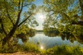 Beautiful wide-angle summer sunny landscape of russian nature with green trees and pond with sunlight