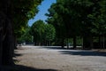 Beautiful and wide footpaths among greens and a decor in the park in the summer. Garden. Wood.