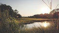 Beautiful wide shot of trees and grass on the sides of a lake during a sunny day Royalty Free Stock Photo