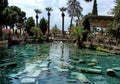 Beautiful wiev of cleopatra swimmingpool in summertime closeup in Turkey,Pamukkale